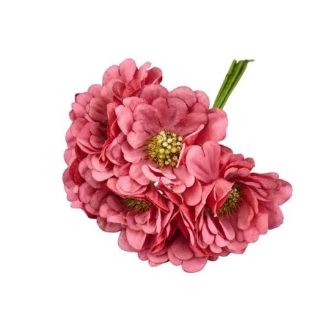 GERBERA SFUMATA CORALLO D5